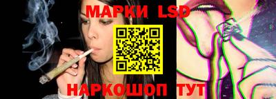 шишки Будённовск