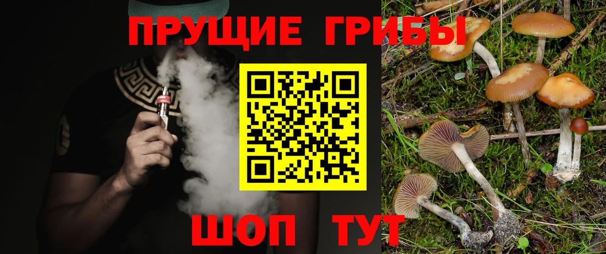 Галлюциногенные грибы прущие грибы Мончегорск